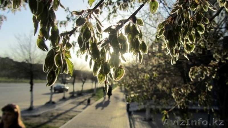 Продаю Canon sx210 IS срочно! - Изображение #2, Объявление #278659