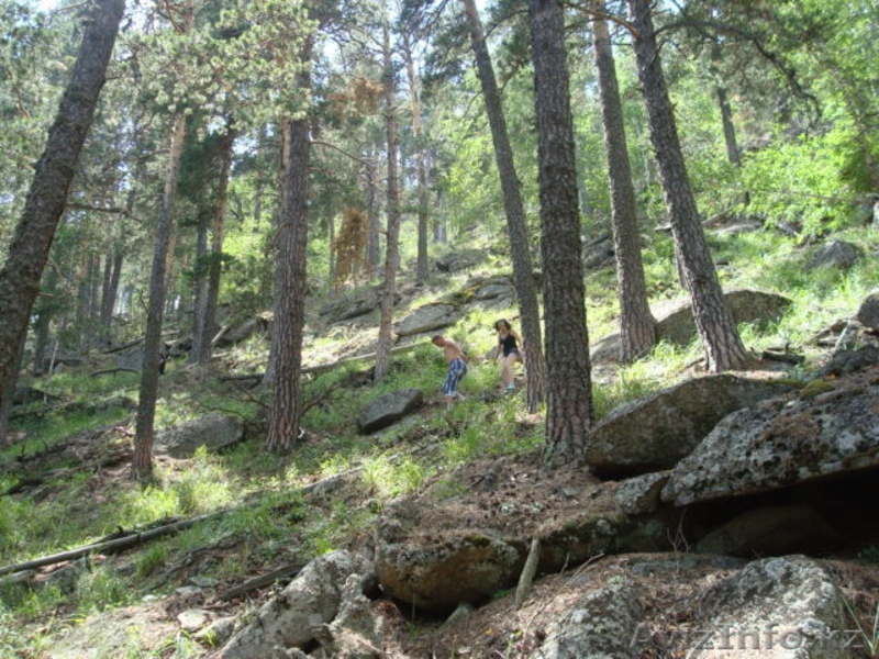 Продам квартиру в курортной зоне поселка Щучинский - Изображение #10, Объявление #347653