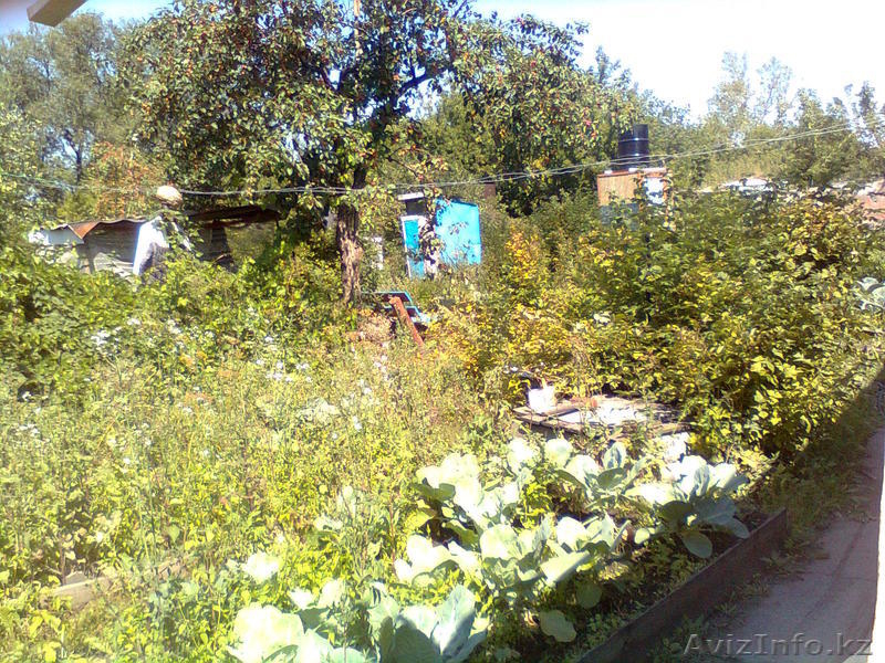 продаю дом 20 соток - Изображение #3, Объявление #351994