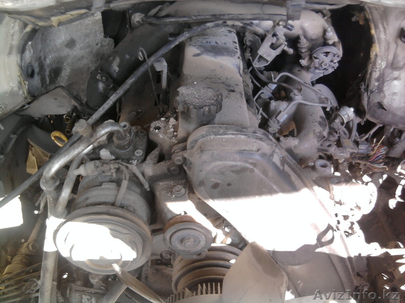 kitikz1977@mail.ru - Изображение #3, Объявление #760360