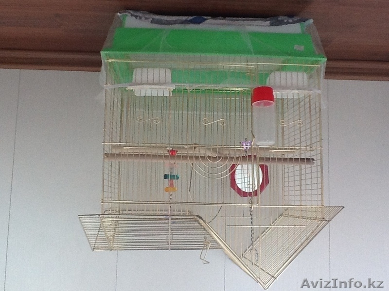 Клетка для попугаев - Изображение #1, Объявление #773541