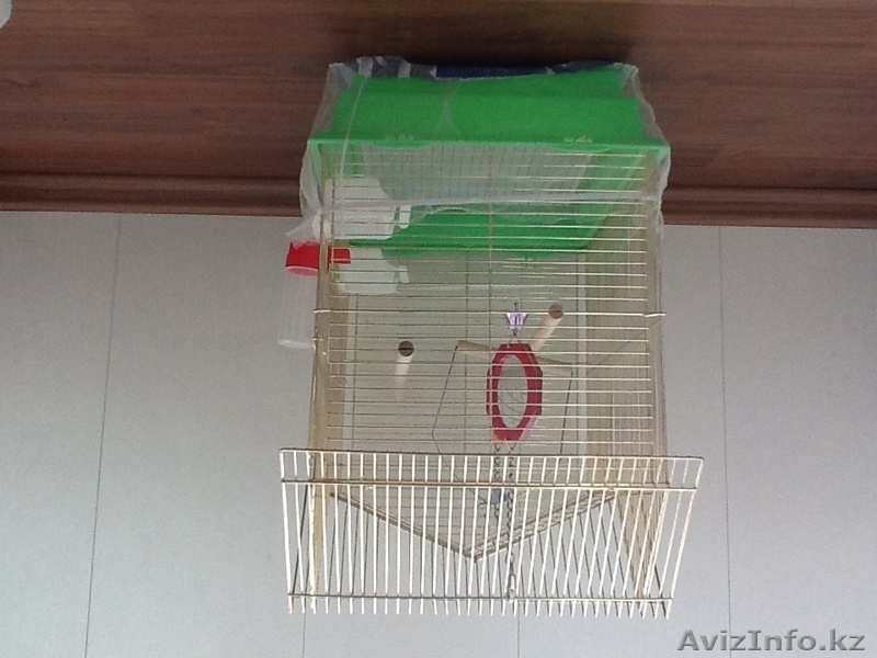 Клетка для попугаев - Изображение #2, Объявление #773541