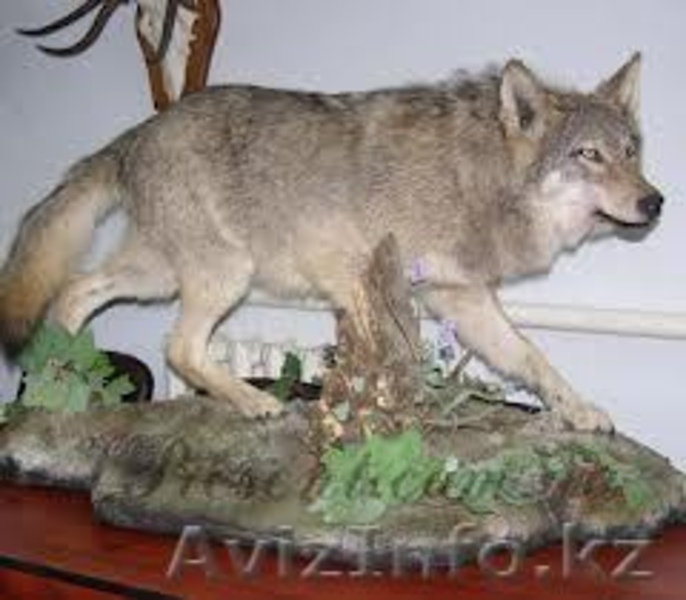 Степан 87214450709, 87557815572 - Изображение #1, Объявление #888322