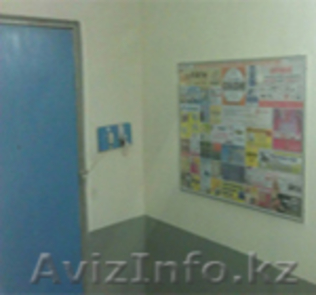 Реклама в Караганде по городу - Изображение #2, Объявление #906432