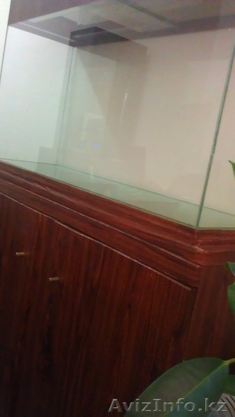 Продам аквариум + тумба - Изображение #6, Объявление #937433