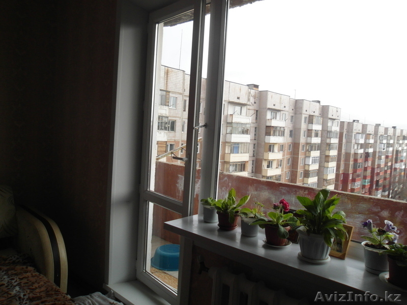 Юго-Восток, 1-комн. квартира - Изображение #2, Объявление #990077