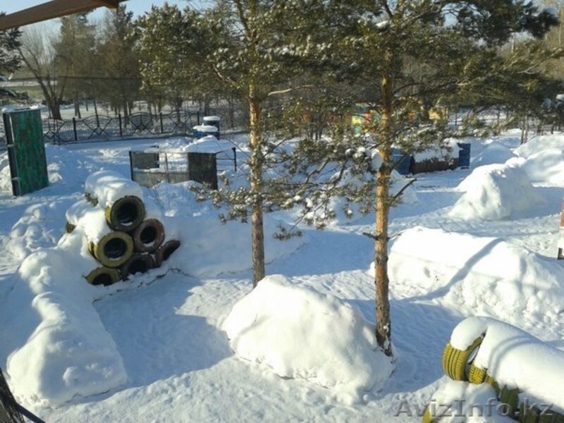 Пейнтбол в Караганде! Пейнтбольный клуб "SCORPION" - Изображение #1, Объявление #1019927