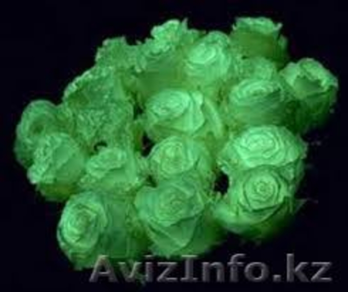 Сделай жизнь ярче! - Изображение #1, Объявление #1211746