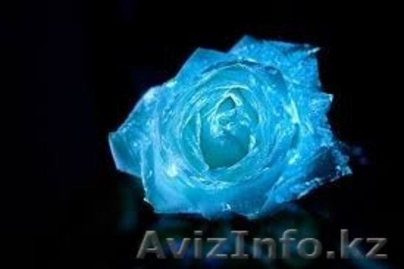 Сделай жизнь ярче! - Изображение #3, Объявление #1211746