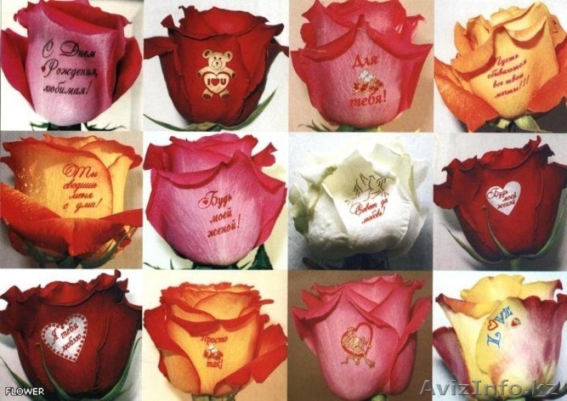 "Цветочный ветер" - Изображение #4, Объявление #1223686