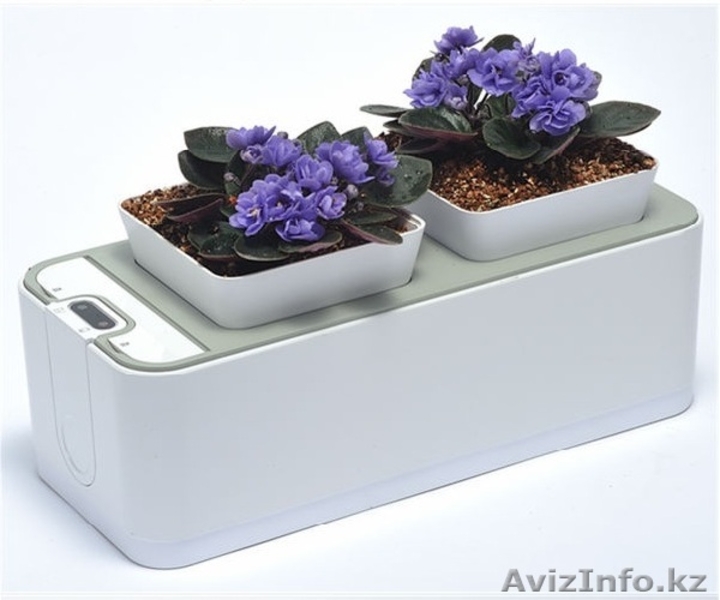 Горшок для цветов умный! - Изображение #1, Объявление #1230425