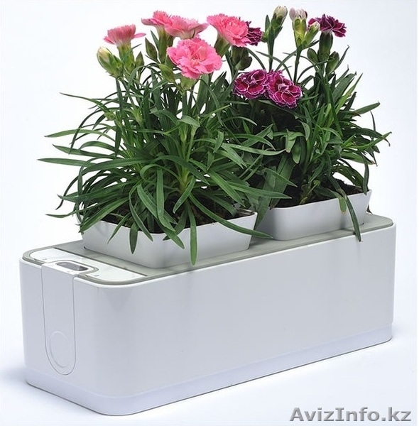 Горшок для цветов умный! - Изображение #2, Объявление #1230425