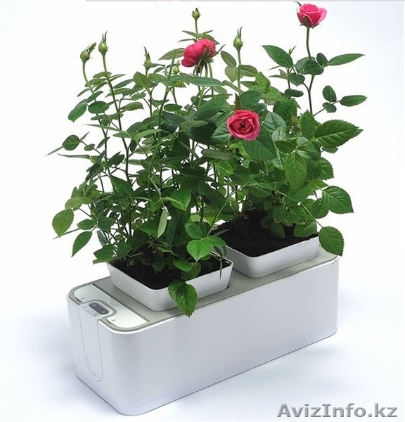 Горшок для цветов умный! - Изображение #3, Объявление #1230425