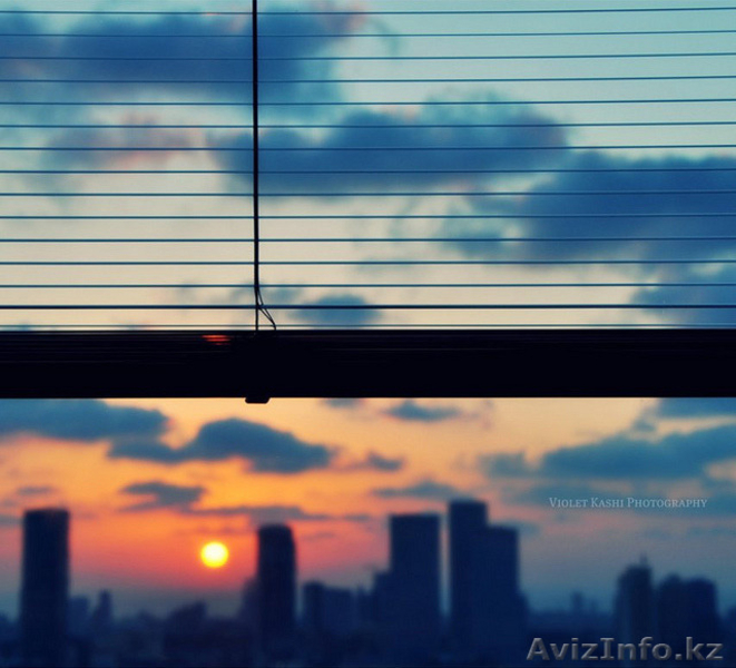 Горизонтальные жалюзи (бамбук, дерево, система Венус) - Изображение #8, Объявление #1246417