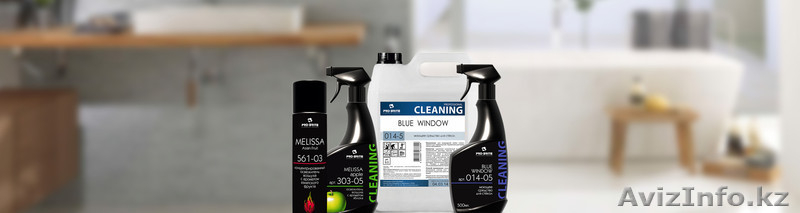 Продажа профессиональных моющих средств ТОО "TIDY" - Изображение #2, Объявление #1266301