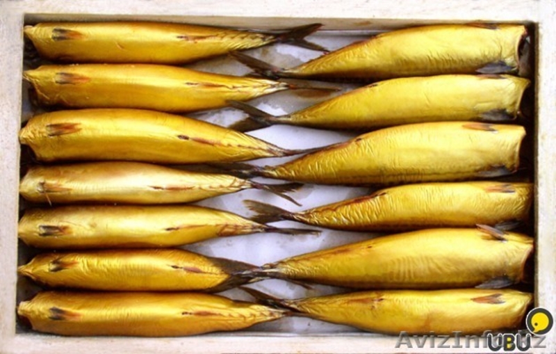 Скумбрия. Скумбрия (без головы) холодного копчения 555 - Изображение #3, Объявление #1299980