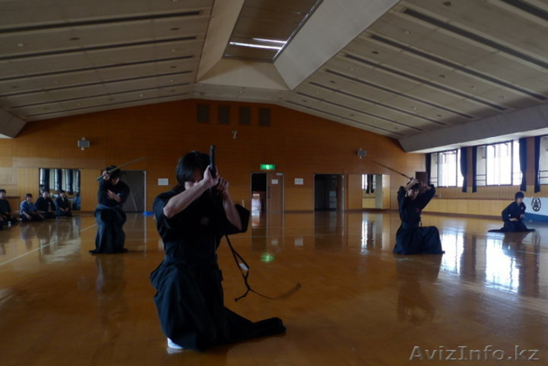 Академия Боевых Искусств (ММА, Греплинг, Джиу Джитсу, Иайдо, и др.) - Изображение #2, Объявление #1311547