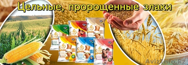 Фитококтейли ( Проросшие зерна пшеницы овса, гречихи) - Изображение #4, Объявление #1310790