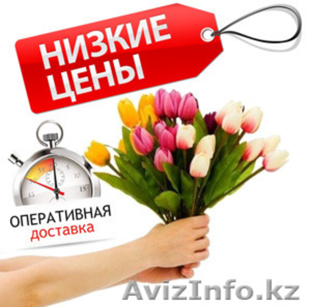 Доставка цветов. - Изображение #1, Объявление #1320326