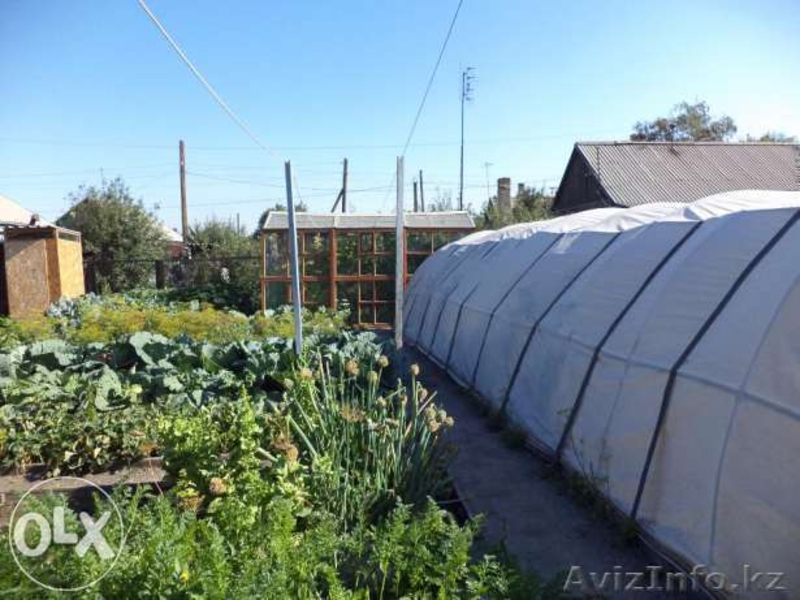 продам дом в Пришахтинске - Изображение #3, Объявление #1341460