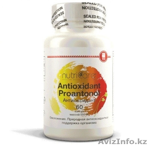 Предлагаю дисконт в компанию Арго - Изображение #4, Объявление #1351063