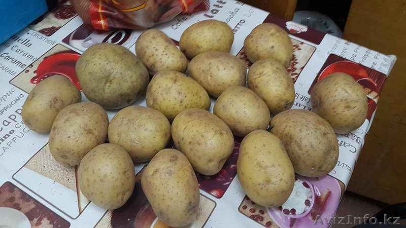 Доставка картофеля - Изображение #2, Объявление #1359910