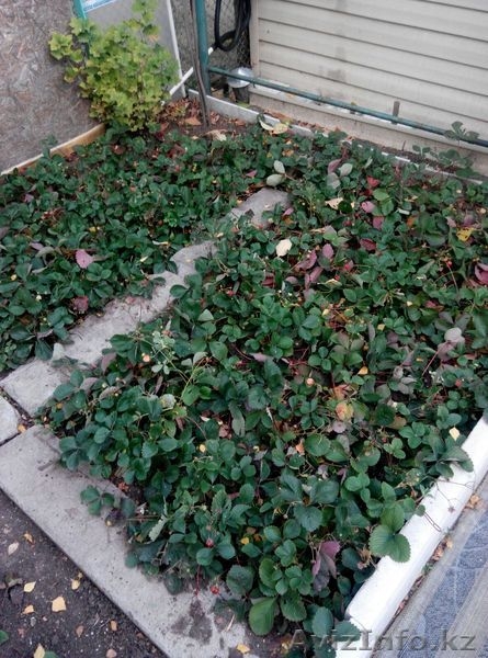 Продажа пятикомнатной квартиры, 83 м, Аманжолова, дом 90 за ﻿67 000 $ - Изображение #1, Объявление #1364977