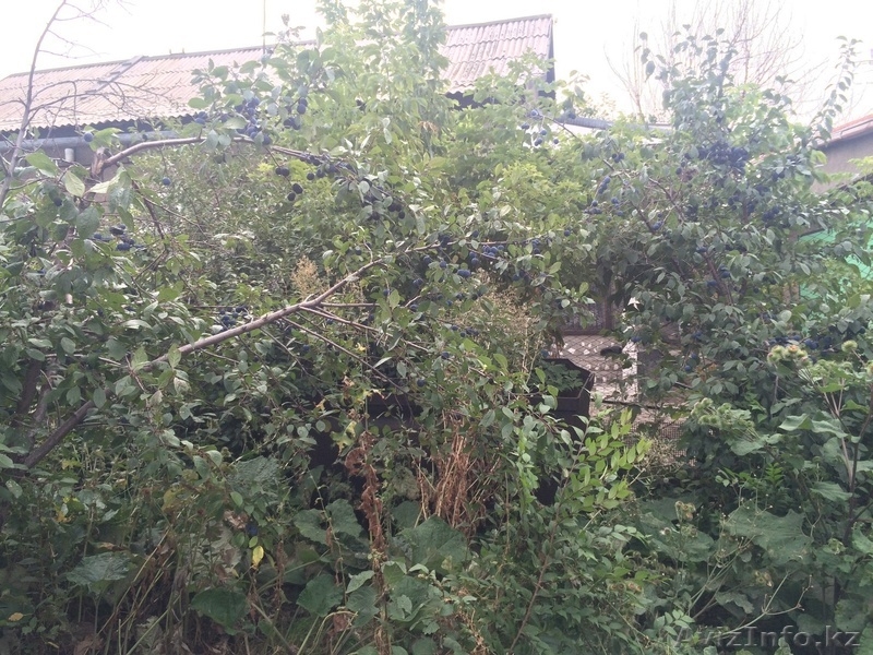 Продажа четырехкомнатного дома, 59 м, Федченко за 54 900 $. - Изображение #11, Объявление #1366615