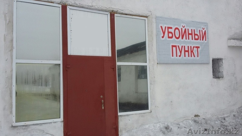 Скотный рынок предоставляет бесплатные места - Изображение #2, Объявление #1385394