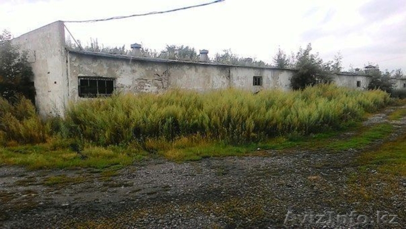 Продам здание птичника (База) - Изображение #2, Объявление #1491671