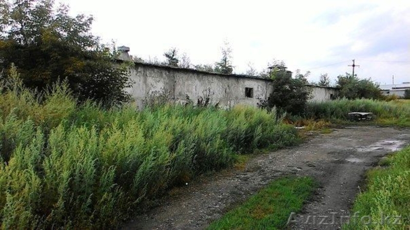 Продам здание птичника (База) - Изображение #3, Объявление #1491671