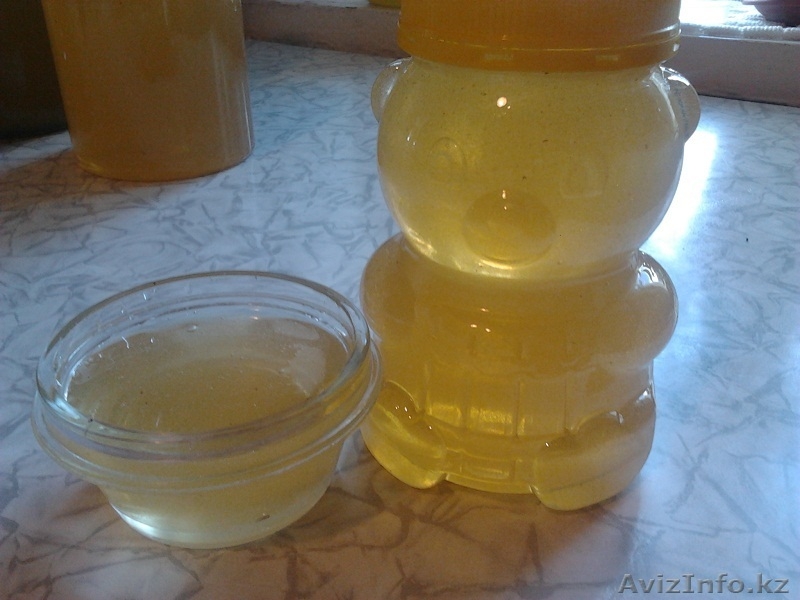 Натуральный мёд ВКО - Изображение #1, Объявление #1485517