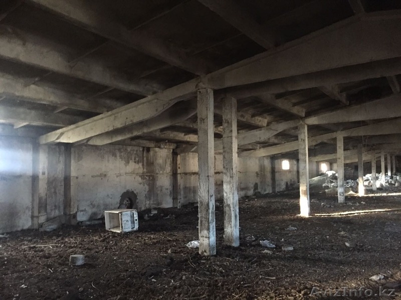 Продам здание птичника (База) - Изображение #5, Объявление #1491671