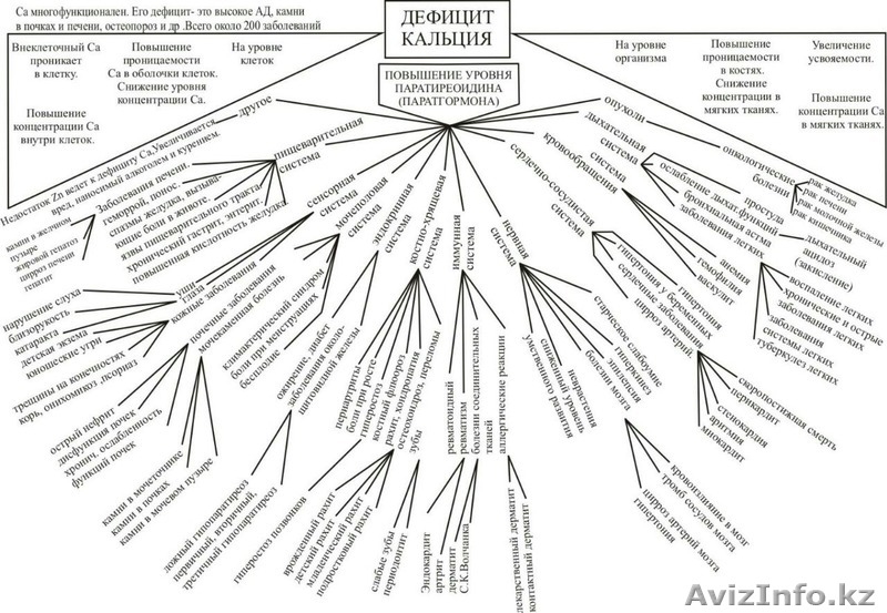 Продаю на 97% усваиваемый кальций Тяньши - Изображение #3, Объявление #1579102