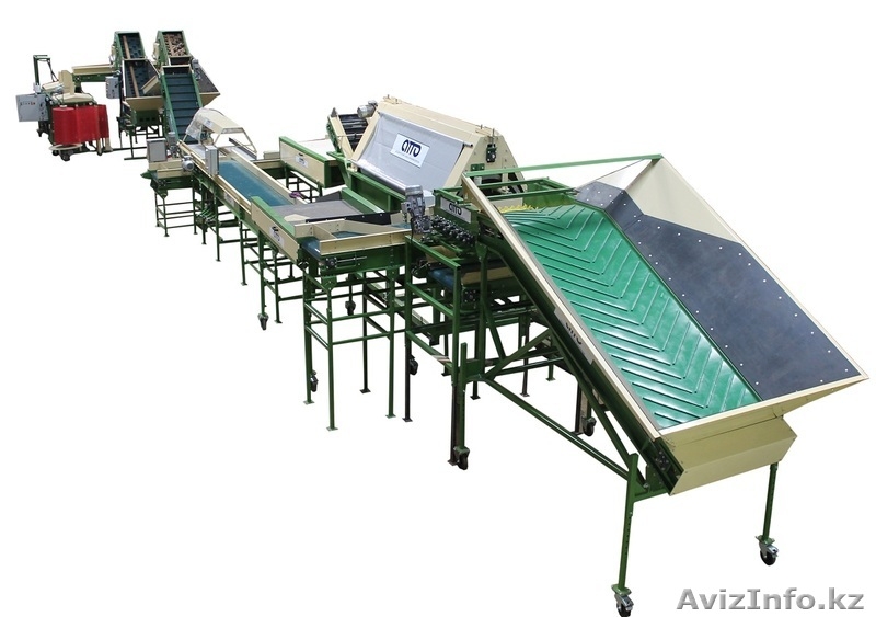 линия мойки,полировки,сортировки,калибровки,фасовки,упаковки овощей - Изображение #3, Объявление #1368266