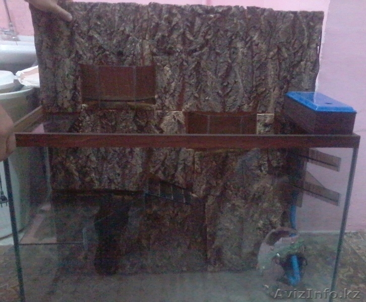 Срочно продаю террариум/аквариум - Изображение #1, Объявление #1589981