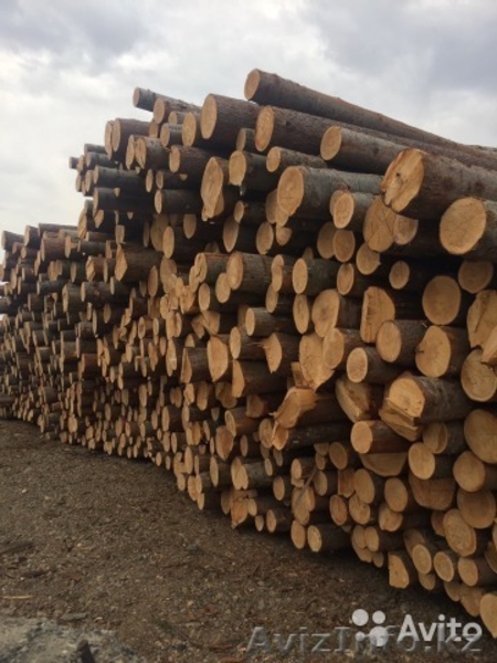Пиломатериалы Оптом. Доска, Брус - Изображение #1, Объявление #1610311