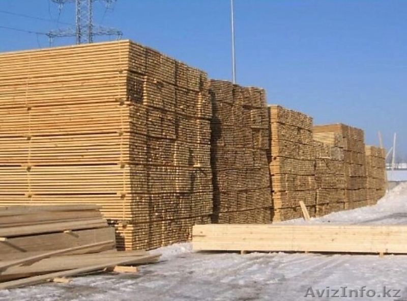 Тюменский лес - Изображение #2, Объявление #1629641