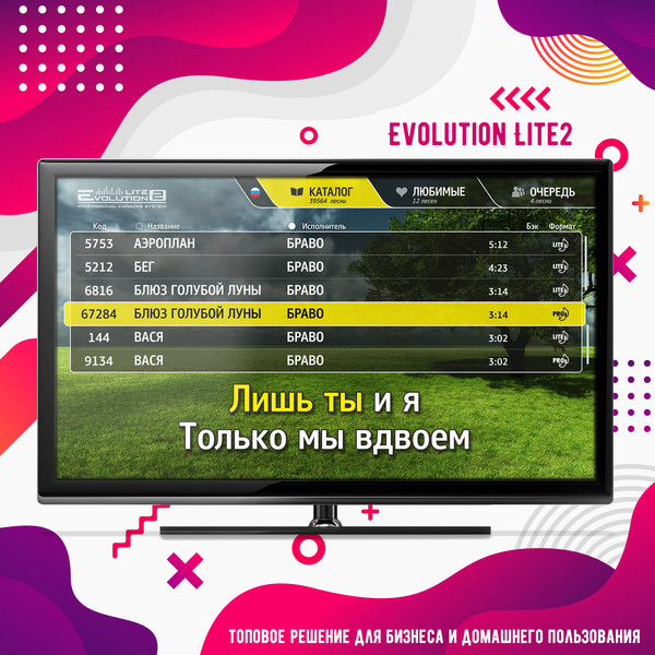 Караоке Evolution Lite2 топовое решение для бизнеса и домашнего пользования - Изображение #3, Объявление #1645460