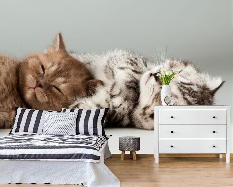 Фотообои обои на любой размер - Изображение #7, Объявление #1695086