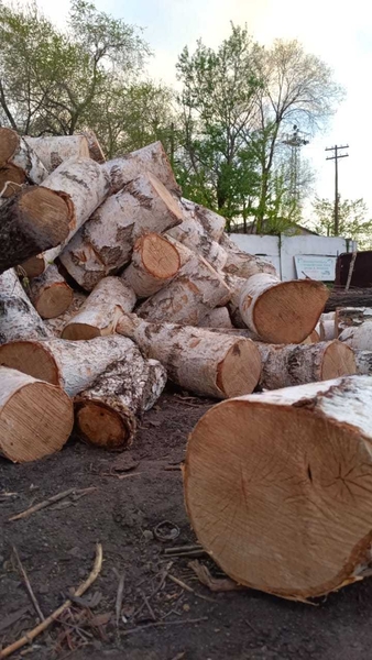 Продаём дрова в мешках  - Изображение #1, Объявление #1748893